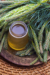 Image showing syrup made of pine