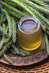 Image showing syrup made of pine