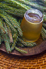 Image showing syrup made of pine