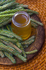 Image showing syrup made of pine