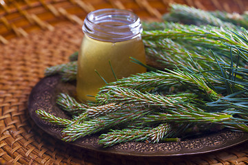 Image showing syrup made of pine