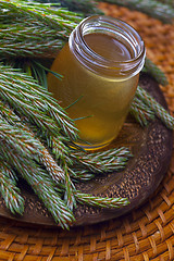 Image showing syrup made of pine