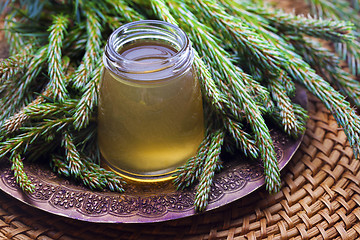 Image showing syrup made of pine