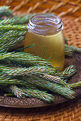 Image showing syrup made of pine