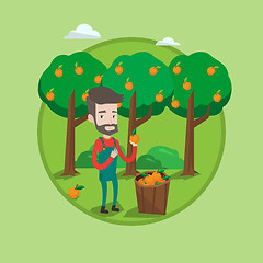 Image showing Farmer collecting oranges vector illustration.