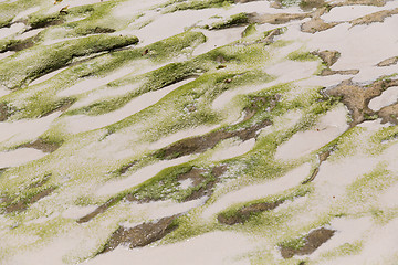 Image showing close up of stone or volcanic rock with sand