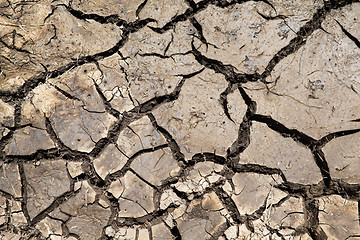 Image showing dry cracked ground surface