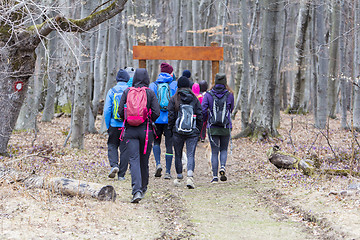 Image showing Group of young hikers  walking along the forest road