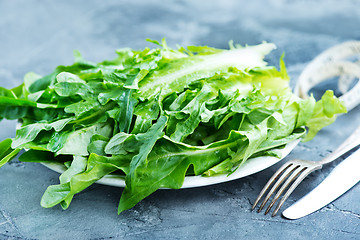 Image showing rucola