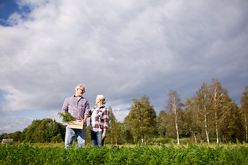 Image showing senior couple with box picking carrots on farm