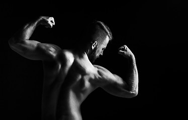 Image showing The back view torso of attractive male body builder on black background.