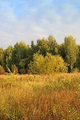 Image showing Autumn landscape