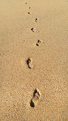 Image showing Footprints in the sand