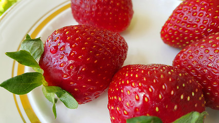 Image showing Ripe strawberries on ceramic plate