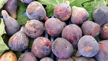 Image showing Fresh figs close-up