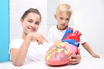 Image showing Children watch a model of the human heart