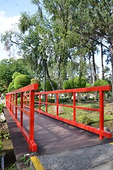 Image showing Red bridge in Chinese Garden