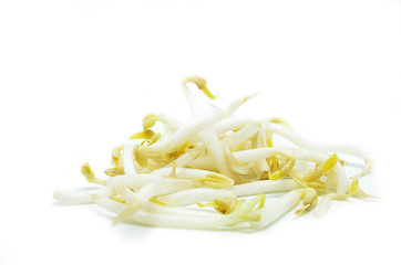 Image showing Pile of bean sprouts