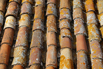 Image showing Tiled roof background