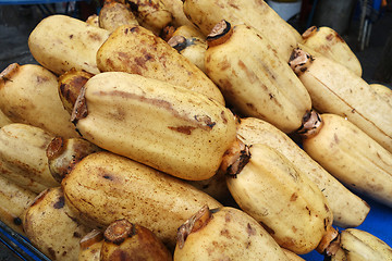 Image showing Fresh Lotus root 