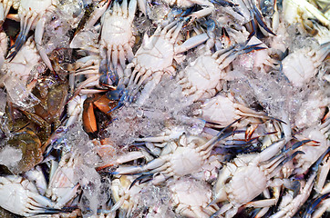 Image showing Sea food market in Maeklong 