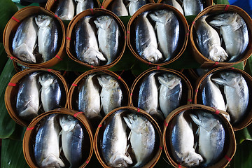 Image showing Mae Klong Mackerel fish sold on market