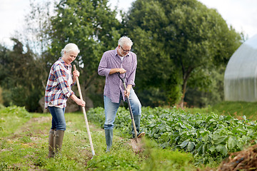 Image showing senior couple with shovels at garden or farm