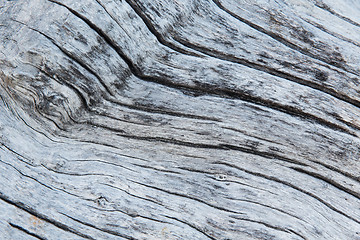 Image showing close up of old weathered wooden board