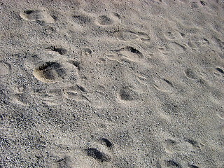 Image showing Footprints in the sand
