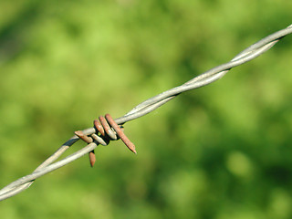 Image showing Barbwire