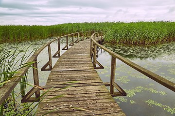 Image showing Swamp walking path