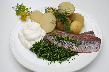 Image showing Swedish Midsummer dish