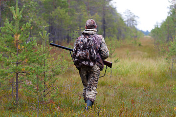 Image showing hunter on the swamp