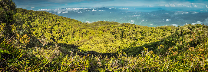 Image showing Wilderness in North Sulawesi