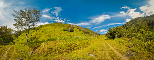 Image showing Hiking in Trikora