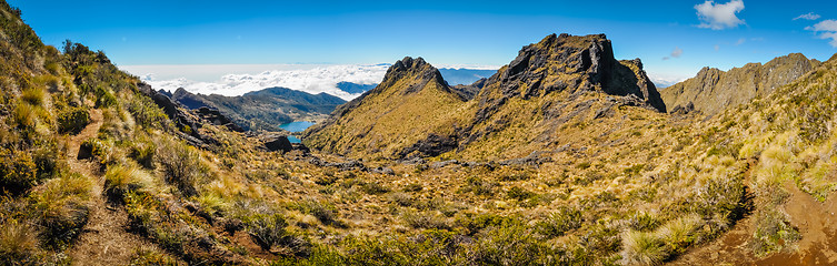 Image showing Wilderness in Papua