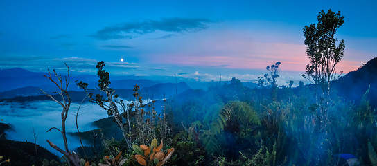 Image showing Evening fog and darkness