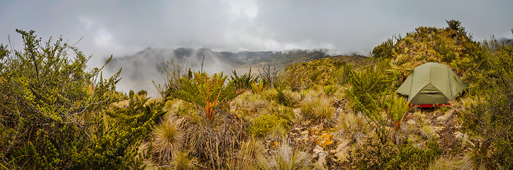 Image showing Tent in nature