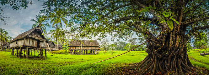 Image showing Traditional house in Palembe