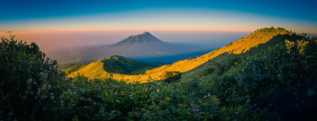 Image showing Nature covered by morning fog