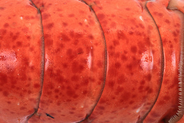 Image showing detail of orange lobster