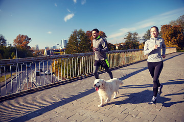 Image showing happy couple with dog running outdoors