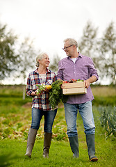 Image showing senior couple with box of vegetables on farm