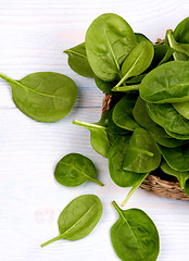 Image showing Raw Spinach Leafs