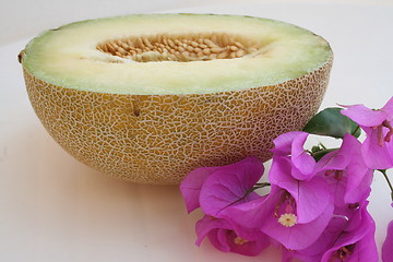 Image showing Galia melon