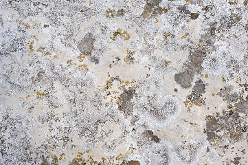 Image showing Natural rock with lichen texture