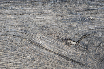 Image showing Old aged wood planks, texture with natural pattern