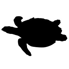 Image showing Silhouette beautiful sea turtle on a white background