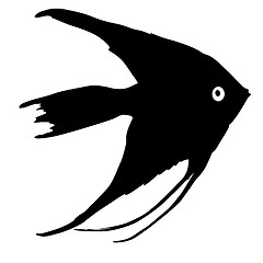 Image showing Black silhouette of aquarium fish on white background