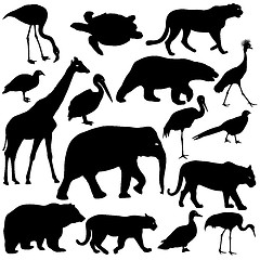 Image showing Silhouette elephant tiger bear giraffe flamingo pelican goose on a white background